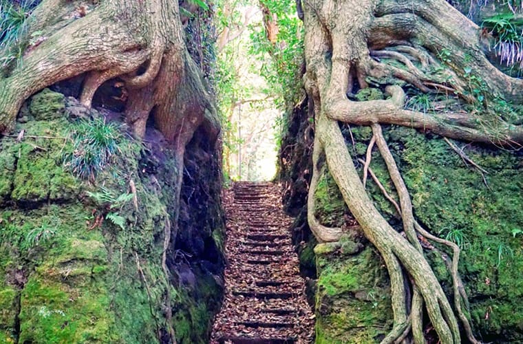 泉津の切り通し