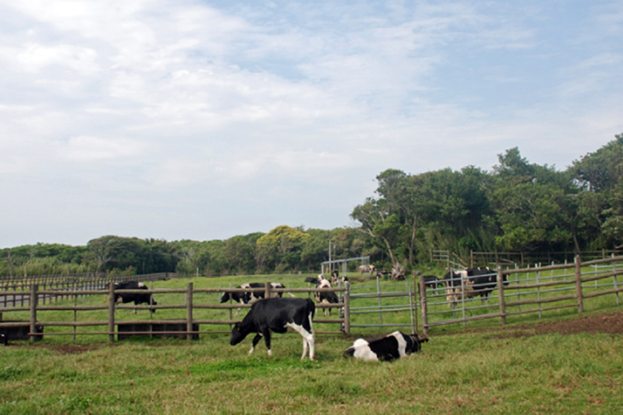 ぷらっとハウス